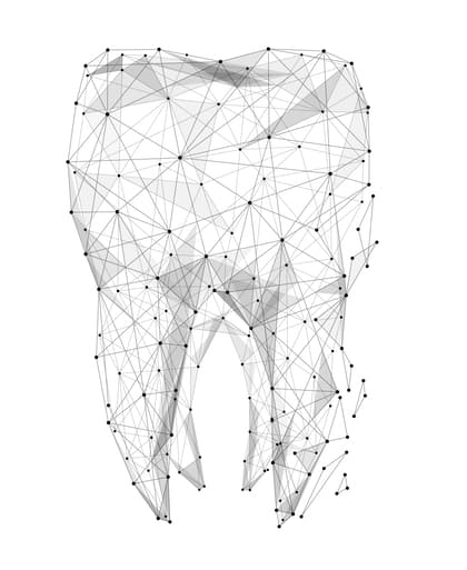 A 3D representation of a tooth